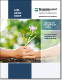 MMI Annual Report 2015