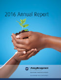2016 Annual Report MMI