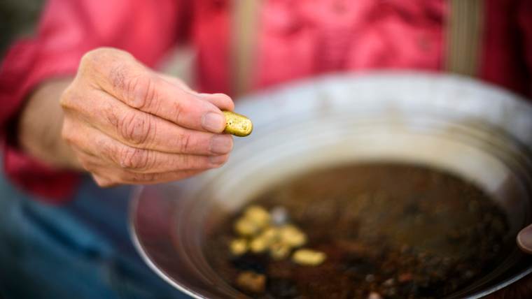 gold nuggets in a pan