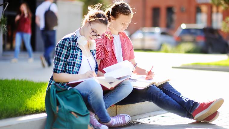 Young students studying.