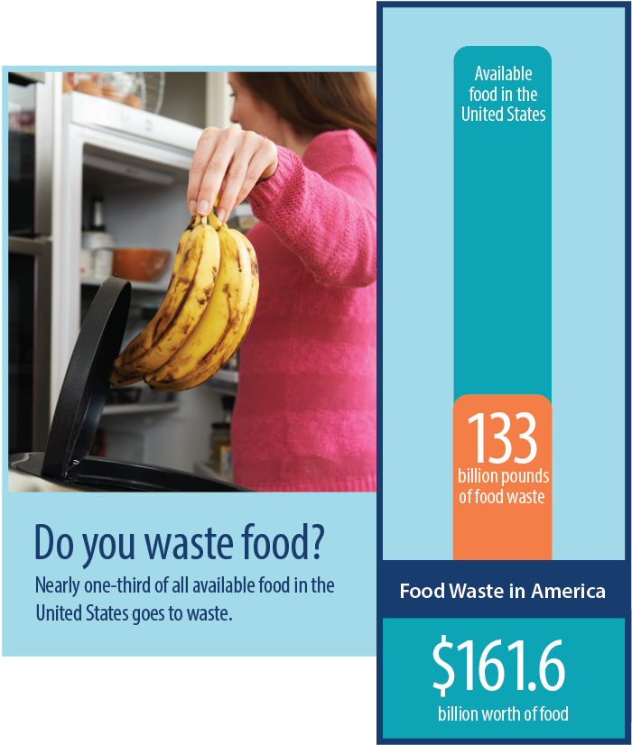 Food waste graphic